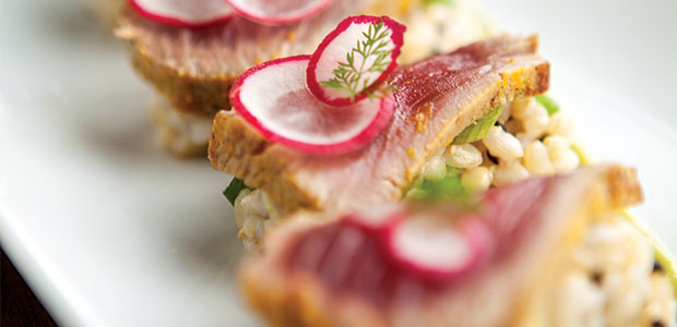 Tuna Tataki Nigiri with Creamy Ginger Sauce