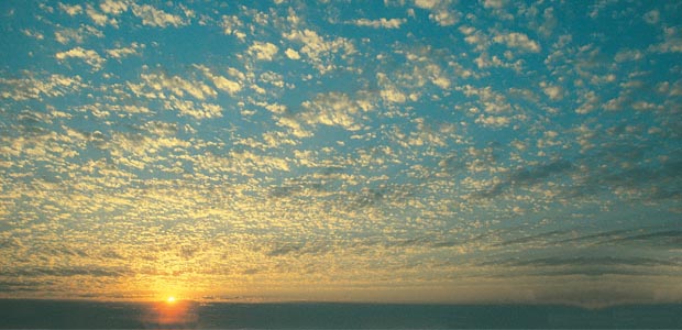 In Memory of Gordon Storie