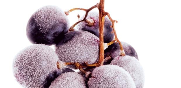 Cast Out Those Cravings