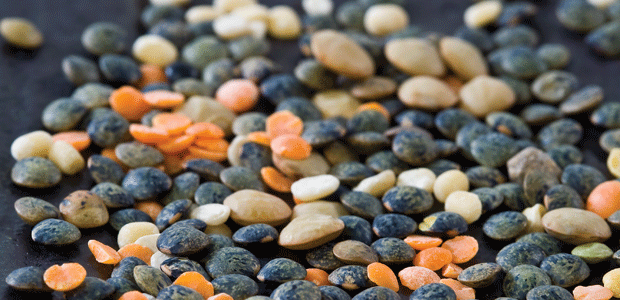 Load Up on Lentils