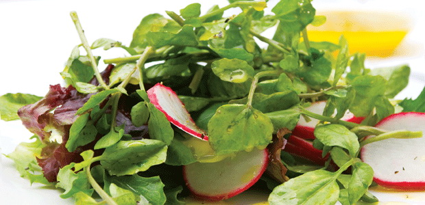 Watercress and Radish Salad
