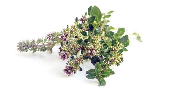 Get Your Motor Running