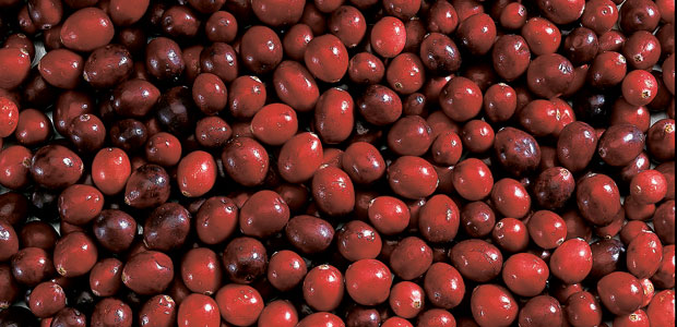 Urinary Tract Infections