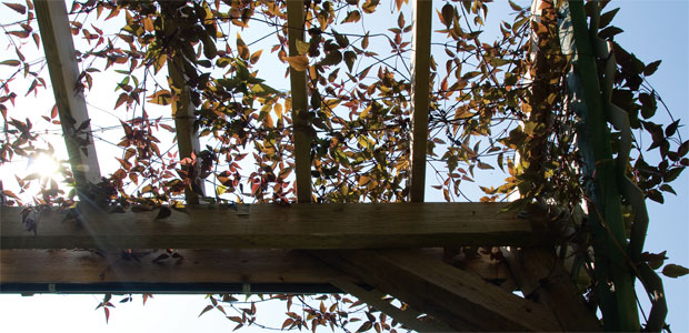 Elder Care in Canada