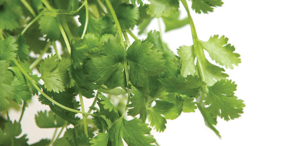 Addressing Thyroid Disorders