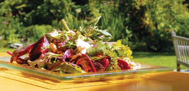 Roasted Beet Salad
