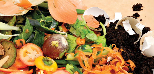 Passionate About Compost