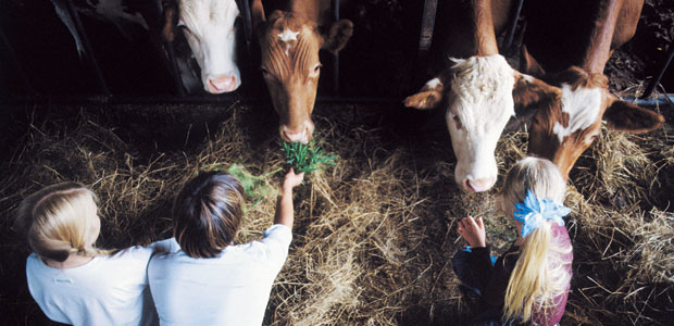 Good News for Carnivores