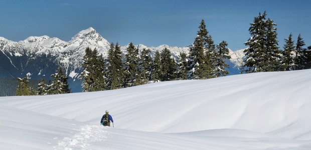 Snowshoeing