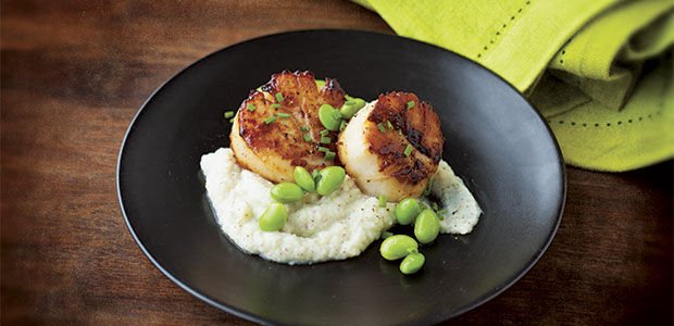 Scallops with Cauliflower Mustard Purée