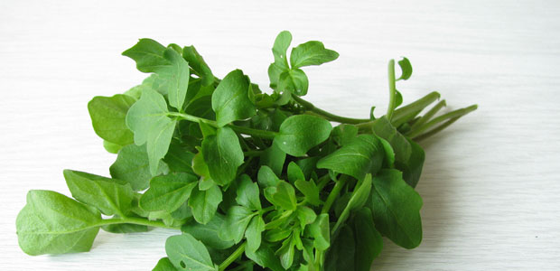 Munch on Watercress for Reduced Oxidative Stress after Exercise