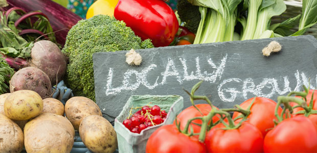 Meatless Monday: 3 No-Cook Summer Meals