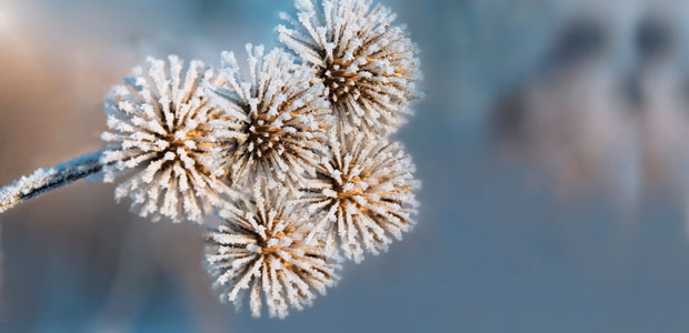 Tips for a Successful Detox