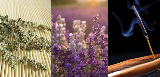 Prepare To Be Incensed