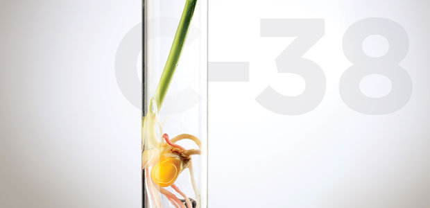 Bill C-38: Omnibus or ominous?