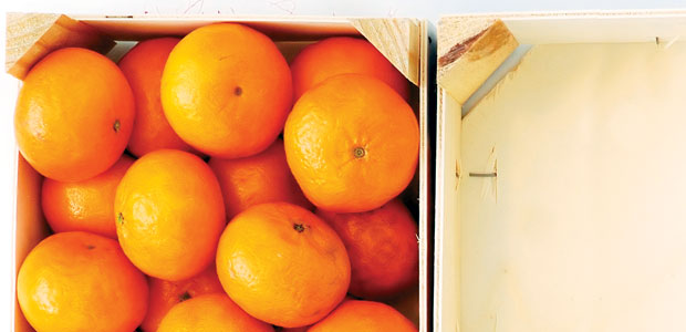 Squeeze Some Sunshine