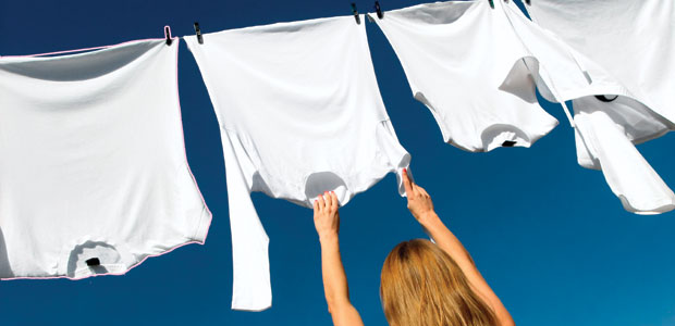 Celebrate Your Right to Dry