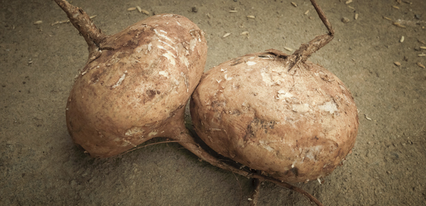 Kitchen Corner: Jicama