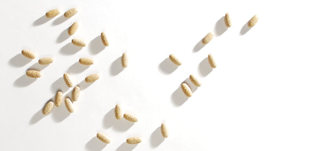 A Multivitamin Survival Guide