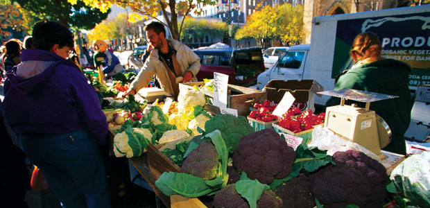 Farmers’ Market Fun and Fare