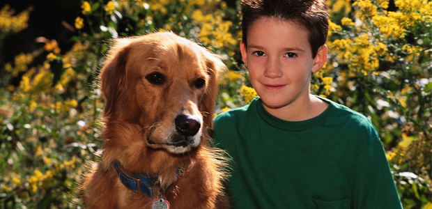 The Intestinal System