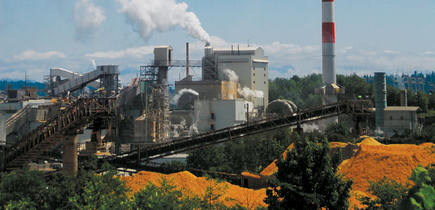Pulp Mill Sludge