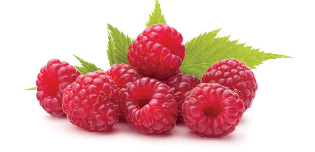 3 Fat-Burning Helpers