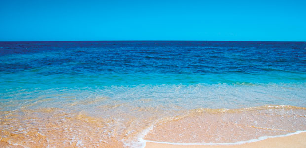 Imagine Your Way to Better Health