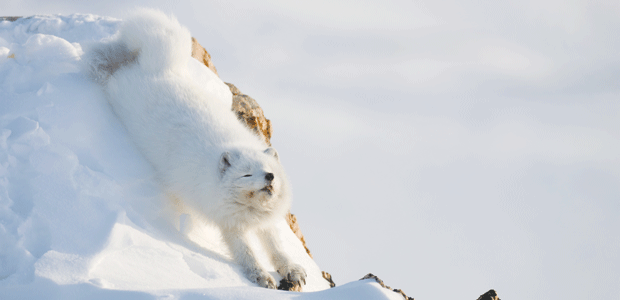 Take Time For Yourself During the Holidays