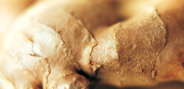 The Anti-Inflammatory Diet