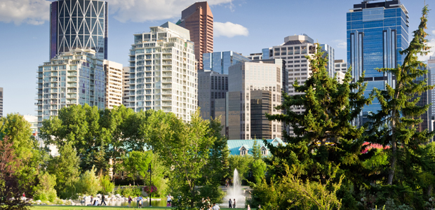 Does Green Space Make for Safer Cities?