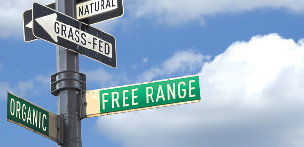 What’s in the Package?