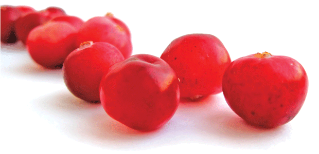 Optimize Your Kidney Function