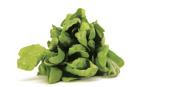 The Universal Antioxidant – ALA