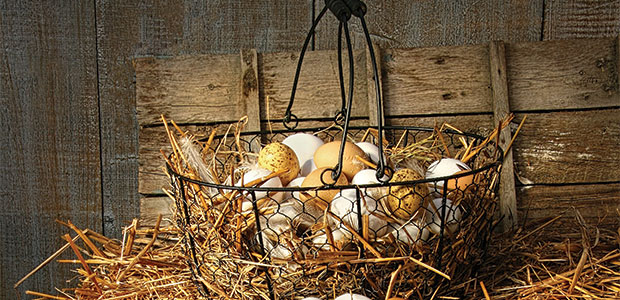 Easter Eggs-travaganza