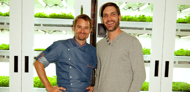 Get Über-fresh Greens from Urban Cultivator and the Living Produce Aisle