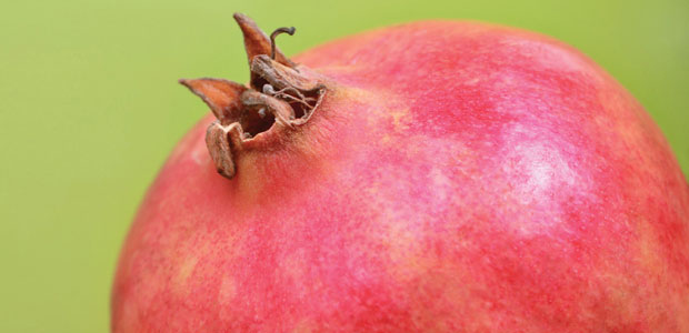 Fear Not the Pomegranate