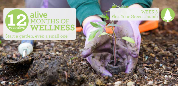 #2013alive: How Does Your Garden Grow?