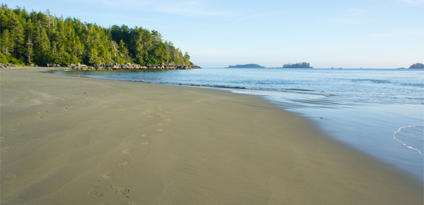 Blue Flag Canada: Keeping Our Marinas and Beaches Safe, Clean, and Sustainable