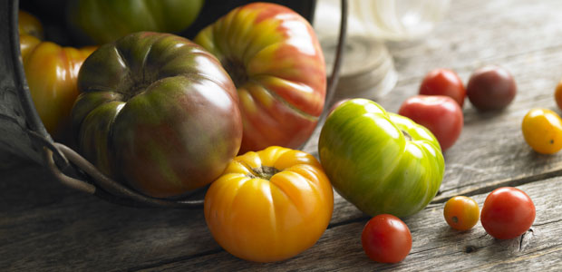 Meatless Monday: Tomatoes 5 Ways