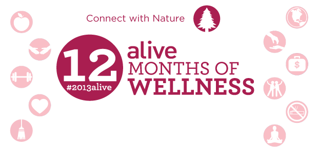 12 Months of Wellness
