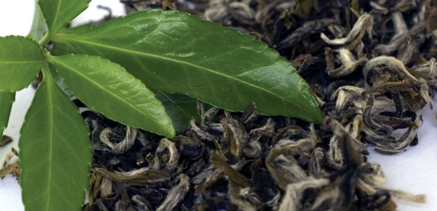 Favouring Flavonoids?