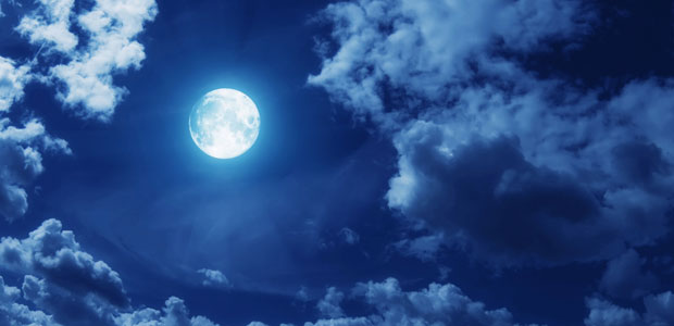 Gardening By the Moon