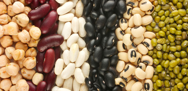 Celebrate the Humble Bean Because Today is Eat Beans Day!