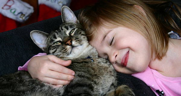 Pets Share the Love Every Day  and Keep Us Healthy