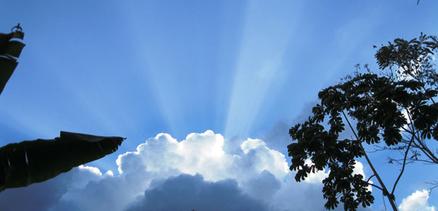 Discovering Nature’s Diversity in Costa Rica