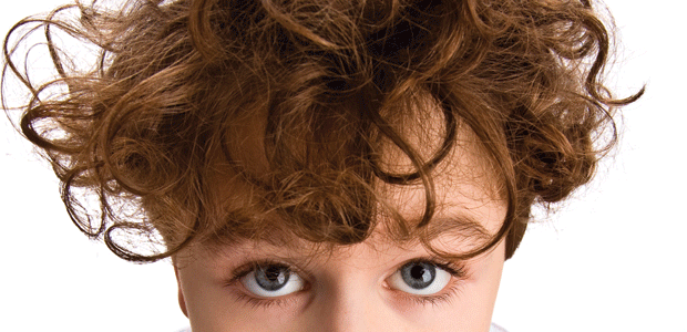 There’s Nothing Nice About Head Lice