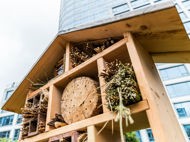 Bee hotels? Whatever next!
