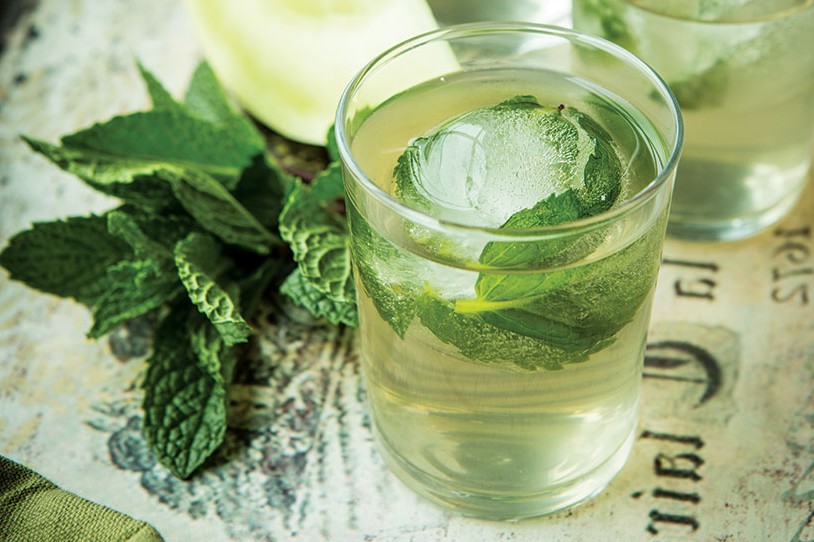Mint, Melon, and Nettle Refresher