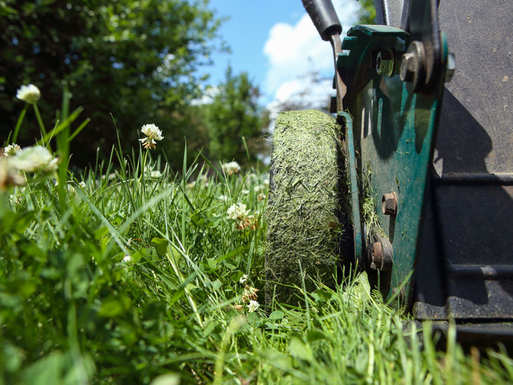 Calorie-Torching Daily Duties